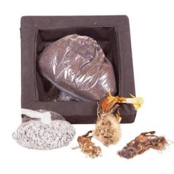 Floating Pond Plant Raft -Garden Centre Store 580030 3