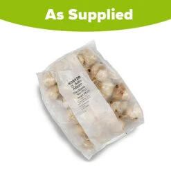 Allium 'Christophii' -Garden Centre Store 600120 4