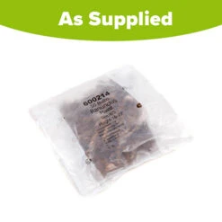 Ranunculus Mix -Garden Centre Store 600214 2