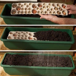 Blooming Fast Drop In Bulb Planter Balcony Beauty Pack -Garden Centre Store 630107 5