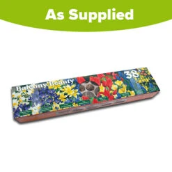 Blooming Fast Drop In Bulb Planter Balcony Beauty Pack -Garden Centre Store 630107 6