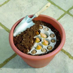 Blooming Fast Drop In Bulb Planter Tulip And Crocus Kit 7 Blooming Fast Drop In Bulb Planter Tulip And Crocus Kit -Garden Centre Store 630188 2