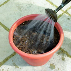 Blooming Fast Drop In Bulb Planter Tulip And Crocus Kit 8 Blooming Fast Drop In Bulb Planter Tulip And Crocus Kit -Garden Centre Store 630188 3