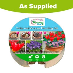 Blooming Fast Drop In Bulb Planter Tulip And Crocus Kit 9 Blooming Fast Drop In Bulb Planter Tulip And Crocus Kit -Garden Centre Store 630188 4