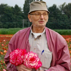 Belgian Giant Flowered Upright Begonias 9 Belgian Giant Flowered Upright Begonias -Garden Centre Store 630192 4