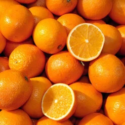 Large Orange Tree 7 Large Orange Tree -Garden Centre Store 680019 2