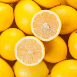 Pair Of Large Lemon Trees 7 Pair Of Large Lemon Trees -Garden Centre Store 680092 2