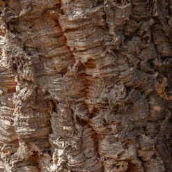 Garden Centre Store -Garden Centre Store 680281 1