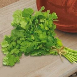 Herb Seed Collection -Garden Centre Store 700052 4