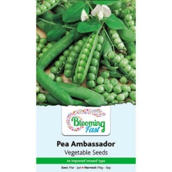 Premium Seed Collection -Garden Centre Store 700057 4