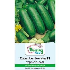 Premium Seed Collection -Garden Centre Store 700057 5