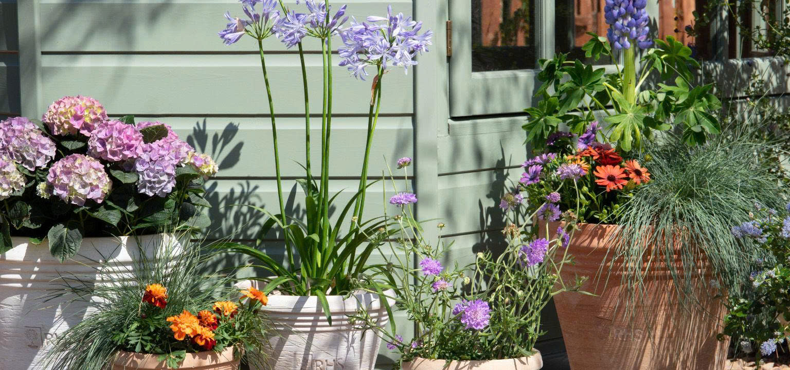 Garden Centre Store -Garden Centre Store z7241133997113 0bbaf22bdaa42ca40d5e4f3f03eb2132